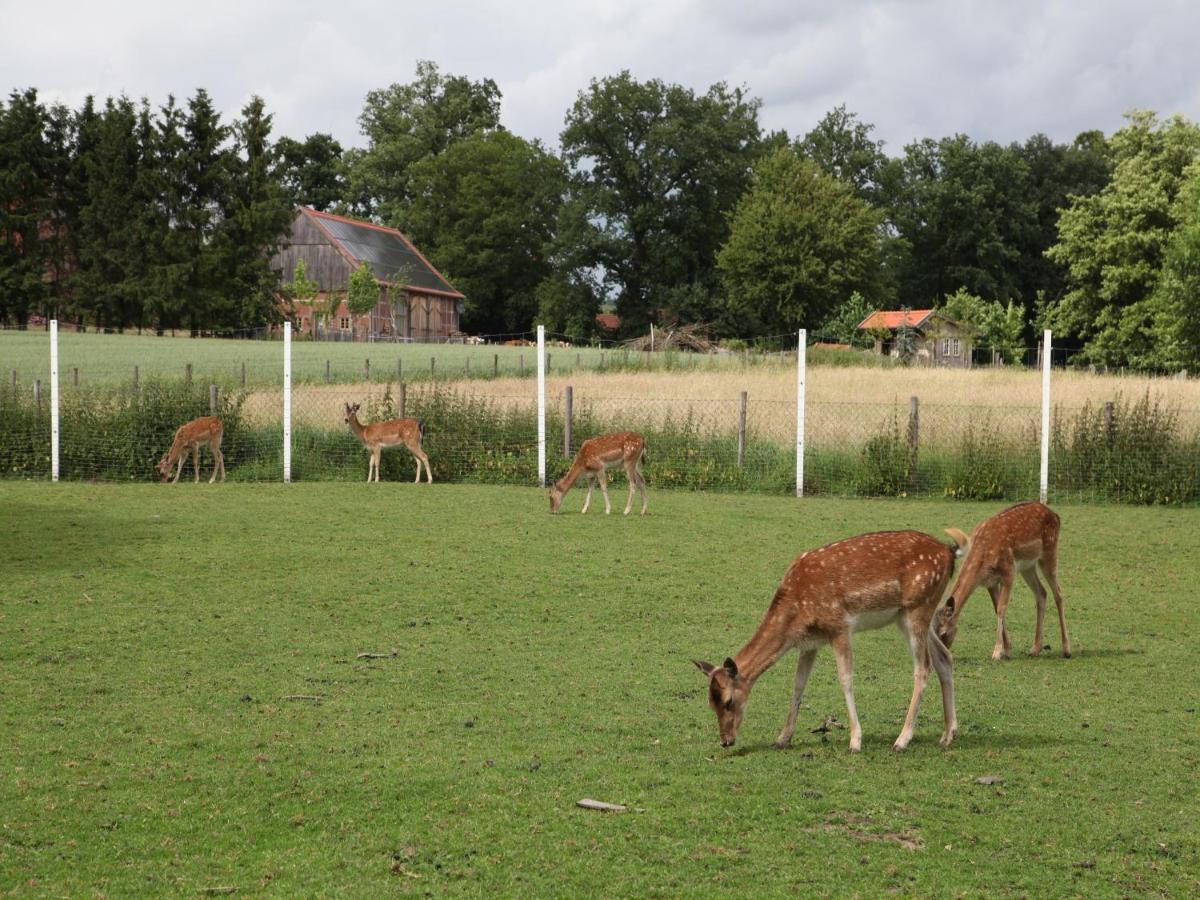 Gaeste Und Ferienhof Maas Dülmen Esterno foto
